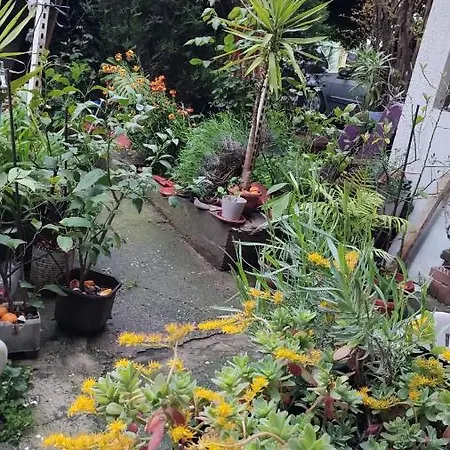 Lägenhet Digital Nomad, Comfy Apartment,the Foot Of Mount Vodno,16 Min By Walk To Center Skopje