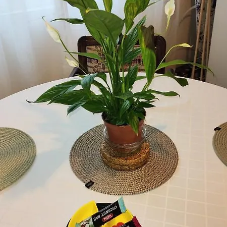 Apartmán Digital Nomad, Ny Pack 6days 1 Free, Comfy Apartment,the Foot Of Mount Vodno,16 Min By Walk To Center Skopje