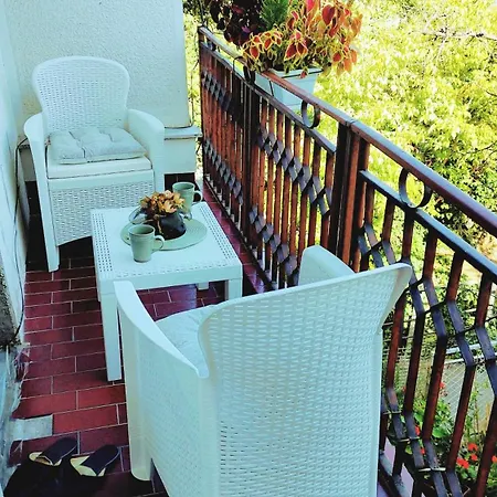Digital Nomad, 80 Sqm, Free Park,16 Min By Walk To Center, Quiet Nbhd * Skopje