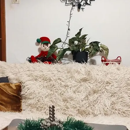 Apartment Digital Nomad Comfy Apartment,foot Mountain Vodno And Millennium Cross,19 Min By Walk To Cener,free Parking