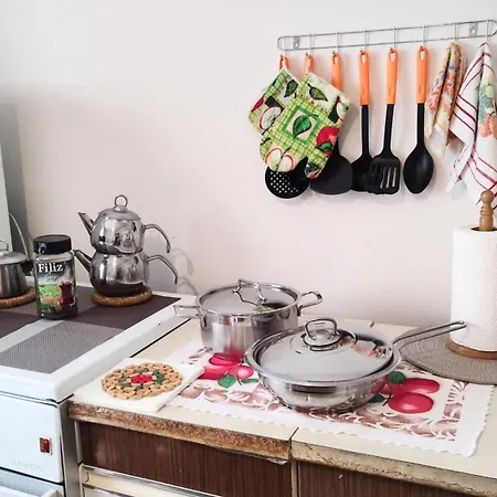 Digital Nomad, 80 Sqm, Free Park,16 Min By Walk To Center, Quiet Nbhd Apartment