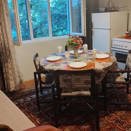 Digital Nomad, 80 Sqm, Free Park,16 Min By Walk To Center, Quiet Nbhd Apartment Skopje