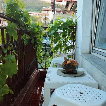 Digital Nomad, 80 Sqm, Free Park,16 Min By Walk To Center, Quiet Nbhd Apartment *