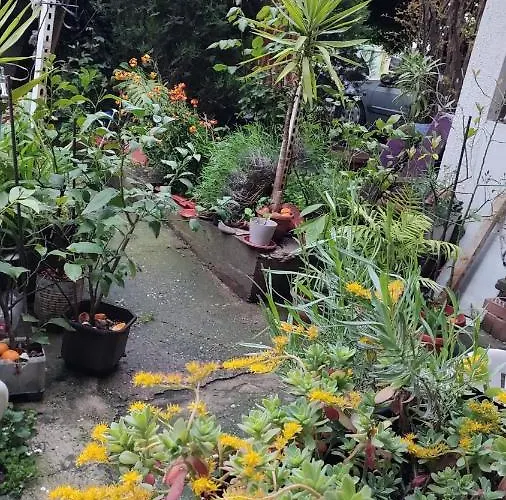 דירה Digital Nomad, Comfy Apartment,the Foot Of Mount Vodno,16 Min By Walk To Center סקופיה