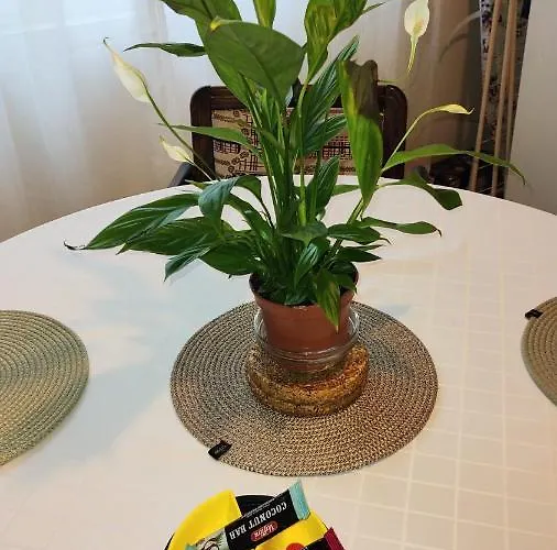 דירה Digital Nomad, Comfy Apartment,the Foot Of Mount Vodno,16 Min By Walk To Center סקופיה