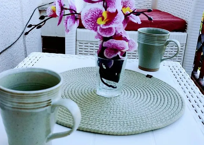 Digital Nomad, Comfy Apartment,the Foot Of Mount Vodno,16 Min By Walk To Center דירה *