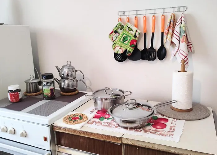 Digital Nomad, Comfy Apartment,the Foot Of Mount Vodno,16 Min By Walk To Center Apartment